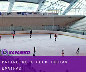 Patinoire à Cold Indian Springs