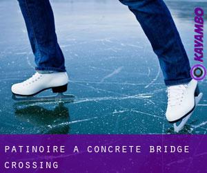 Patinoire à Concrete Bridge Crossing