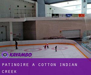 Patinoire à Cotton Indian Creek Patinoire à Cotton Indian Creek