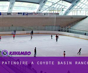 Patinoire à Coyote Basin Ranch