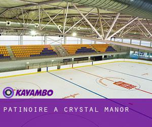Patinoire à Crystal Manor