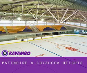 Patinoire à Cuyahoga Heights