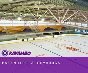 Patinoire à Cuyahoga Patinoire à Cuyahoga