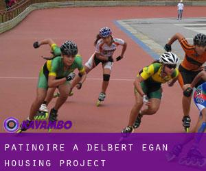 Patinoire à Delbert Egan Housing Project