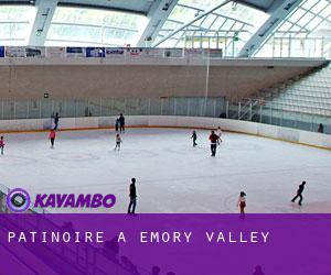 Patinoire à Emory Valley