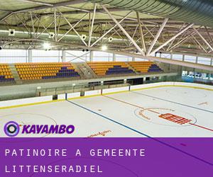 Patinoire à Gemeente Littenseradiel Patinoire à Gemeente Littenseradiel