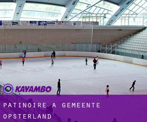 Patinoire à Gemeente Opsterland