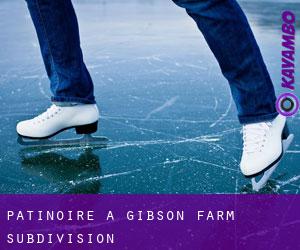 Patinoire à Gibson Farm Subdivision