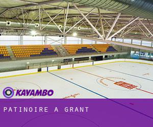 Patinoire à Grant Patinoire à Grant