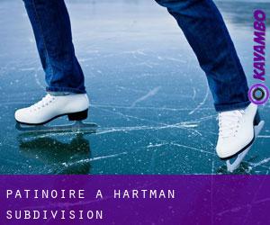 Patinoire à Hartman Subdivision