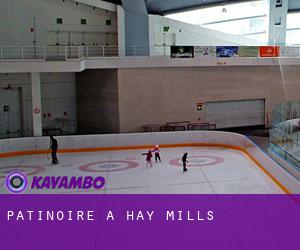 Patinoire à Hay Mills