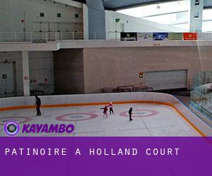 Patinoire à Holland Court