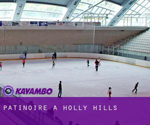 Patinoire à Holly Hills
