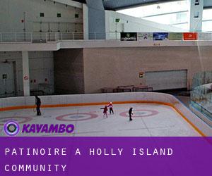 Patinoire à Holly Island Community