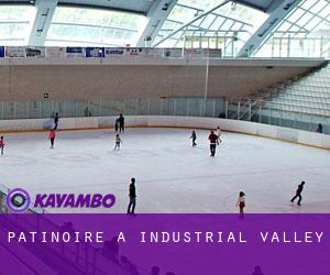 Patinoire à Industrial Valley