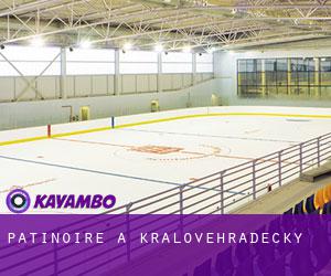 Patinoire à Královéhradecký