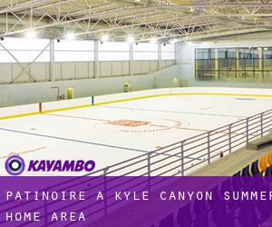 Patinoire à Kyle Canyon Summer Home Area