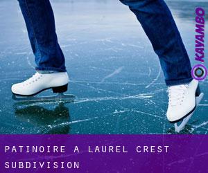 Patinoire à Laurel Crest Subdivision Patinoire à Laurel Crest Subdivision