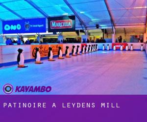 Patinoire à Leydens Mill