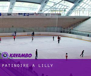 Patinoire à Lilly