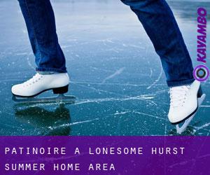 Patinoire à Lonesome Hurst Summer Home Area
