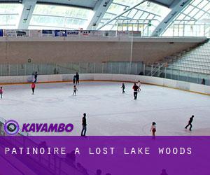 Patinoire à Lost Lake Woods