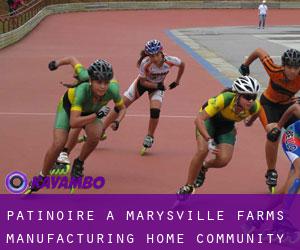Patinoire à Marysville Farms Manufacturing Home Community