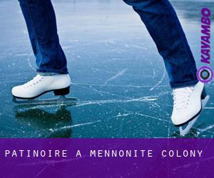 Patinoire à Mennonite Colony