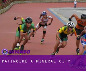 Patinoire à Mineral City