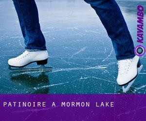 Patinoire à Mormon Lake