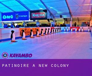 Patinoire à New Colony
