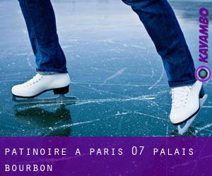 Patinoire à Paris 07 Palais-Bourbon