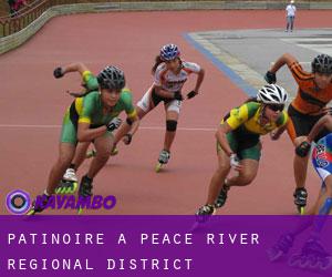 Patinoire à Peace River Regional District