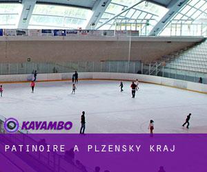 Patinoire à Plzeňský Kraj Patinoire à Plzeňský Kraj