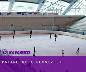 Patinoire à Roosevelt Patinoire à Roosevelt