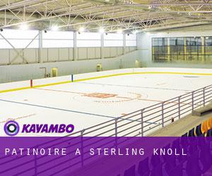 Patinoire à Sterling Knoll