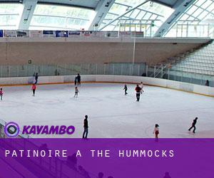 Patinoire à The Hummocks