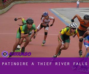 Patinoire à Thief River Falls