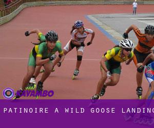 Patinoire à Wild Goose Landing