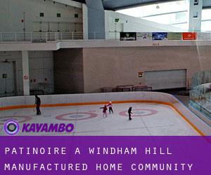 Patinoire à Windham Hill Manufactured Home Community