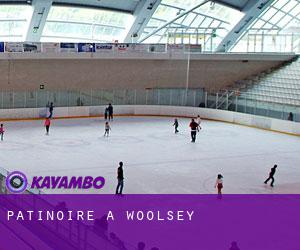 Patinoire à Woolsey