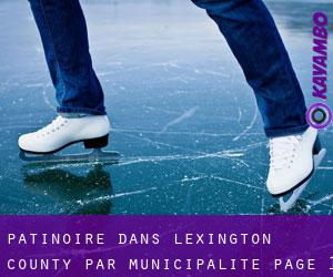 Patinoire dans Lexington County par municipalité - page 1