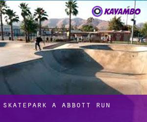 Skatepark à Abbott Run
