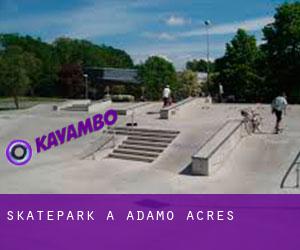 Skatepark à Adamo Acres