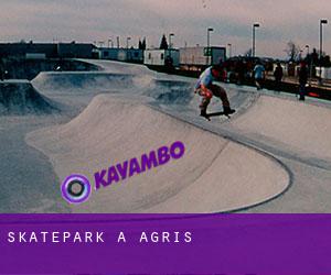 Skatepark à Agris
