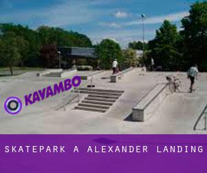 Skatepark à Alexander Landing