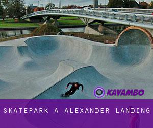 Skatepark à Alexander Landing
