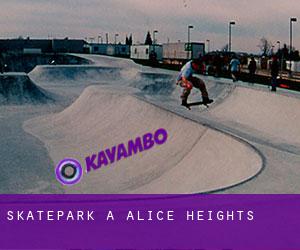 Skatepark à Alice Heights