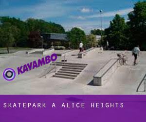 Skatepark à Alice Heights