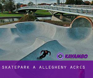 Skatepark à Allegheny Acres
